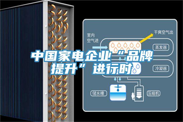 中国家电企业“品牌提升”进行时