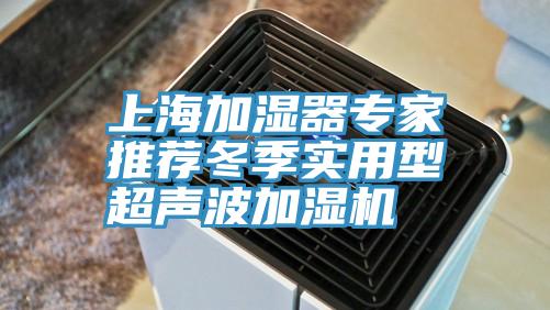 上海加湿器专家推荐冬季实用型超声波加湿机