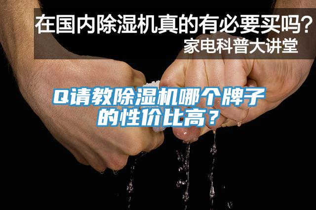 Q请教除湿机哪个牌子的性价比高？