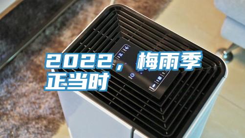 2022，梅雨季正当时