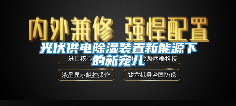 光伏供电除湿装置新能源下的新宠儿