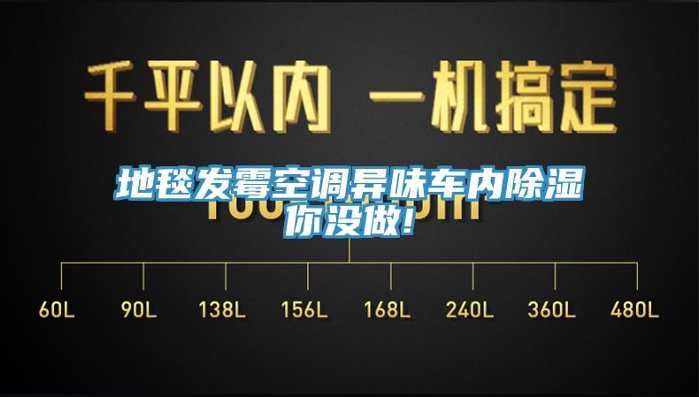 地毯发霉空调异味车内除湿你没做!