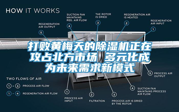 打败黄梅天的除湿机正在攻占北方市场 多元化成为未来需求新模式