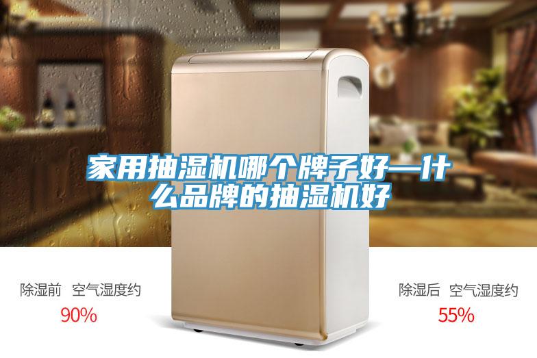 家用抽湿机哪个牌子好—什么品牌的抽湿机好