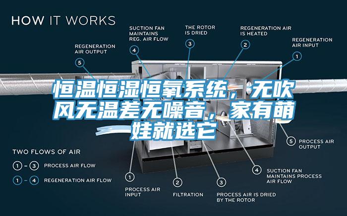 恒温恒湿恒氧系统，无吹风无温差无噪音，家有萌娃就选它