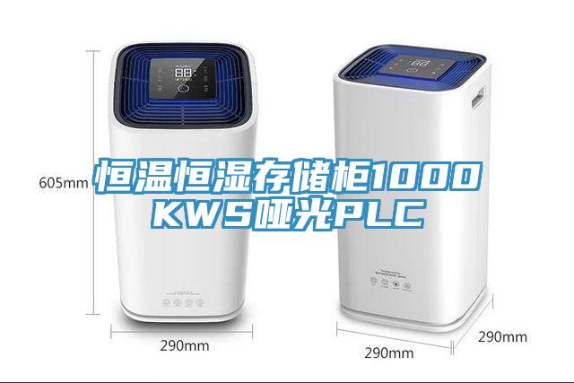 恒温恒湿存储柜1000KWS哑光PLC