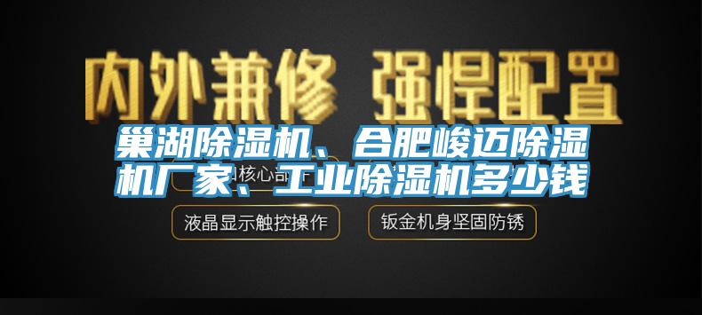巢湖除湿机、合肥峻迈除湿机厂家、工业除湿机多少钱