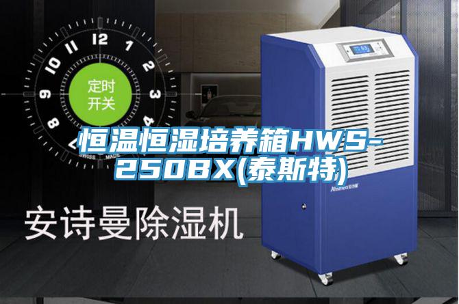 恒温恒湿培养箱HWS-250BX(泰斯特)