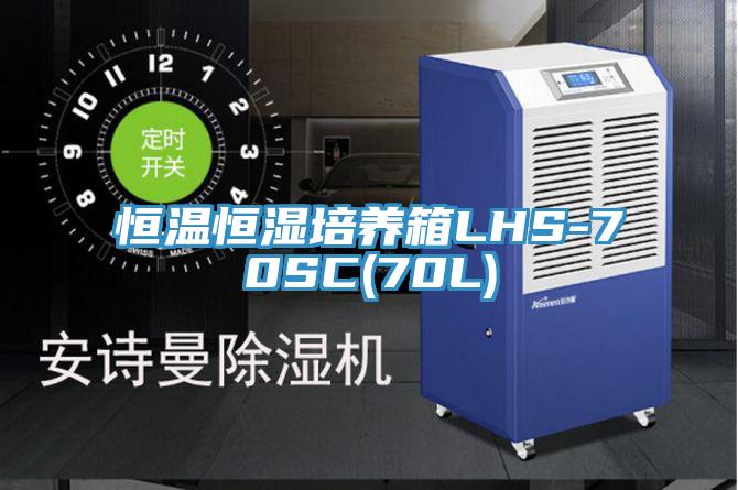 恒温恒湿培养箱LHS-70SC(70L)