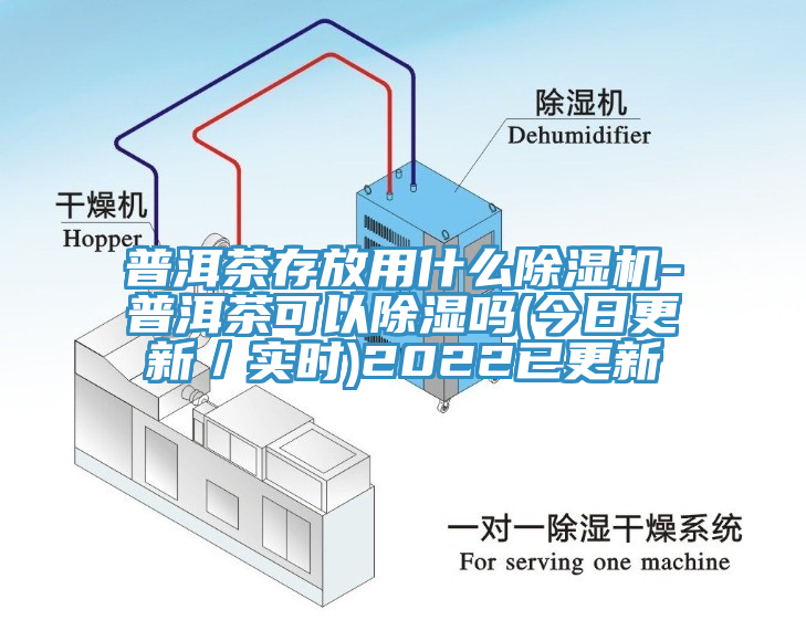 普洱茶存放用什么除湿机-普洱茶可以除湿吗(今日更新／实时)2022已更新