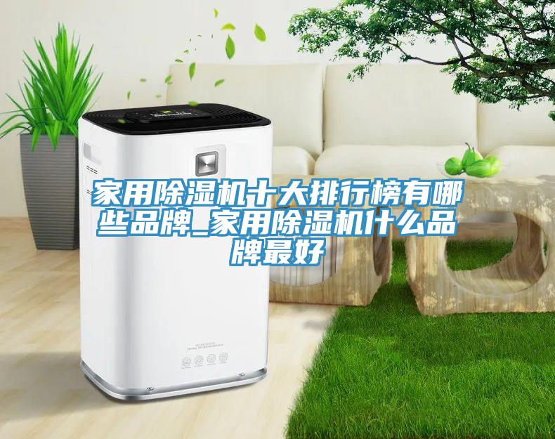 家用除湿机十大排行榜有哪些品牌_家用除湿机什么品牌最好