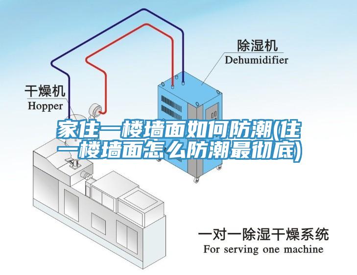 家住一楼墙面如何防潮(住一楼墙面怎么防潮最彻底)