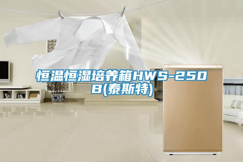 恒温恒湿培养箱HWS-250B(泰斯特)