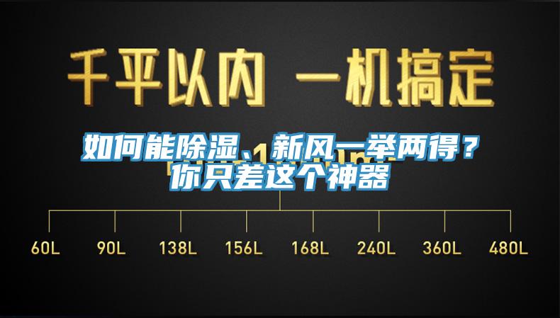 如何能除湿、新风一举两得？你只差这个神器