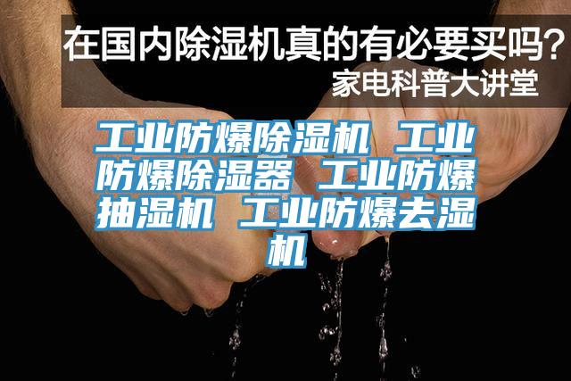 工业防爆除湿机 工业防爆除湿器 工业防爆抽湿机 工业防爆去湿机