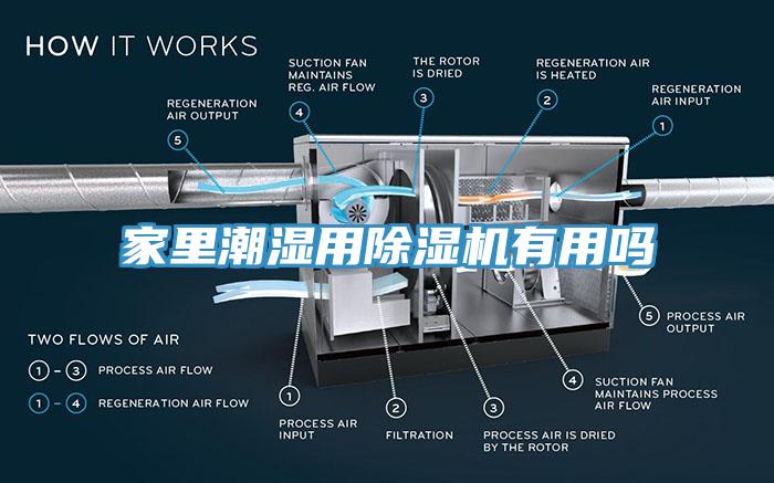 家里潮湿用除湿机有用吗