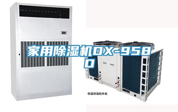 家用除湿机DX-958D