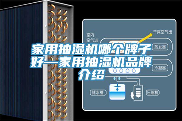 家用抽湿机哪个牌子好—家用抽湿机品牌介绍