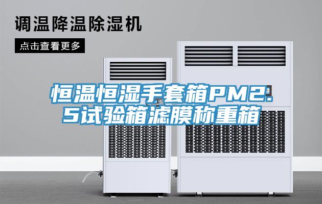 恒温恒湿手套箱PM2.5试验箱滤膜称重箱