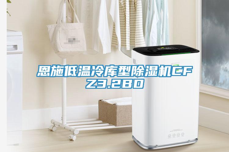 恩施低温冷库型除湿机CFZ3.2BD