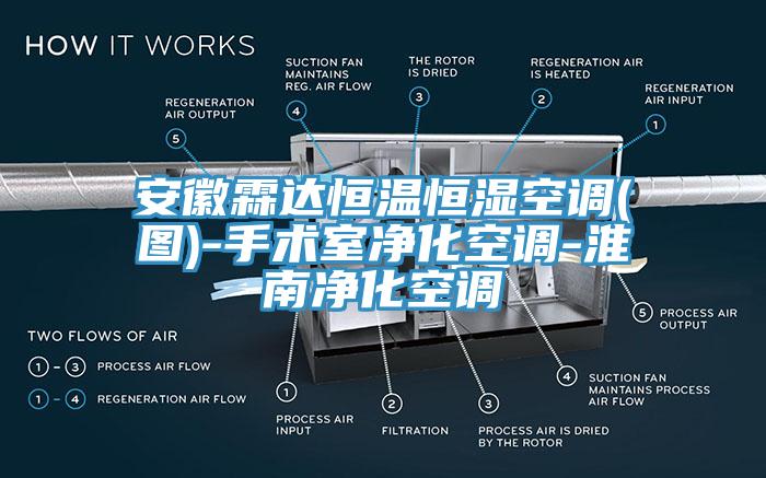 安徽霖达恒温恒湿空调(图)-手术室净化空调-淮南净化空调