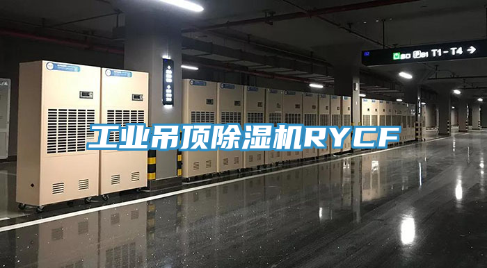 工业吊顶除湿机RYCF