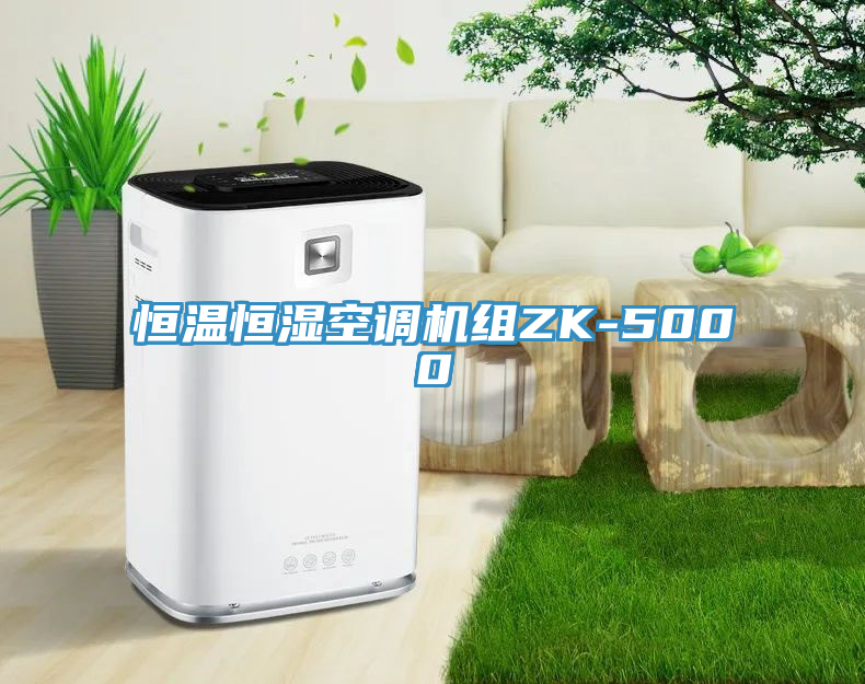 恒温恒湿空调机组ZK-5000