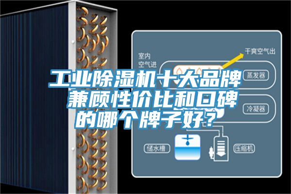 工业除湿机十大品牌 兼顾性价比和口碑的哪个牌子好？