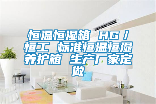 恒温恒湿箱 HG／恒工 标准恒温恒湿养护箱 生产厂家定做