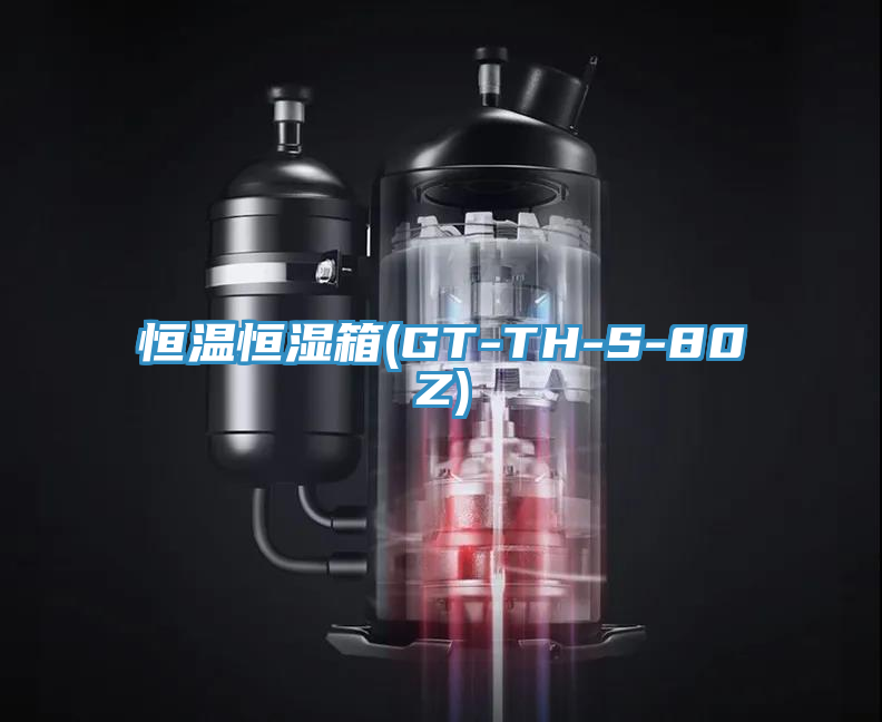 恒温恒湿箱(GT-TH-S-80Z)