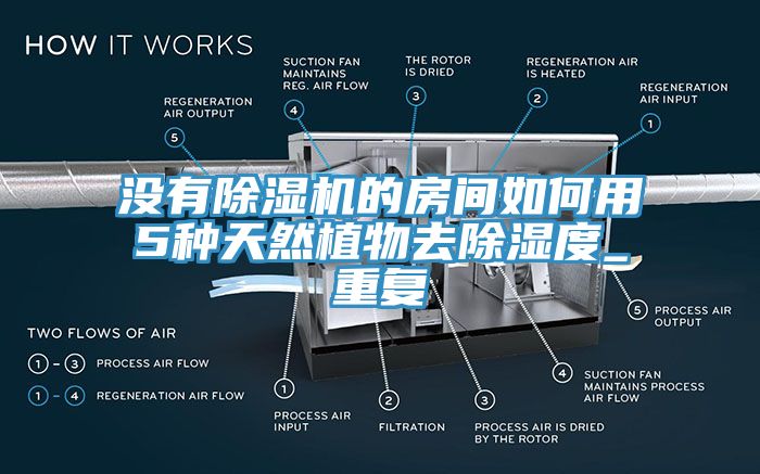 没有除湿机的房间如何用5种天然植物去除湿度_重复