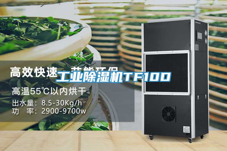 工业除湿机TF10D