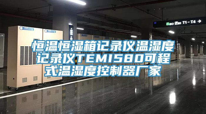 恒温恒湿箱记录仪温湿度记录仪TEMI580可程式温湿度控制器厂家