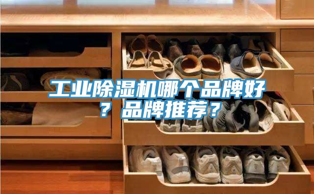 工业除湿机哪个品牌好？品牌推荐？