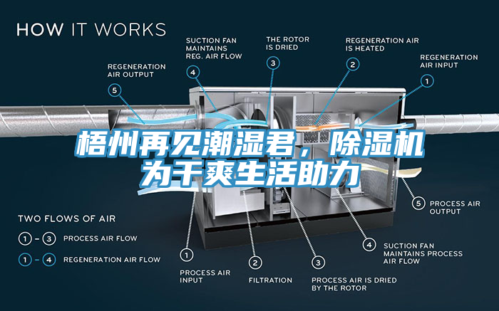 梧州再见潮湿君，除湿机为干爽生活助力