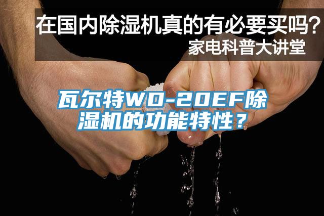 瓦尔特WD-20EF除湿机的功能特性？