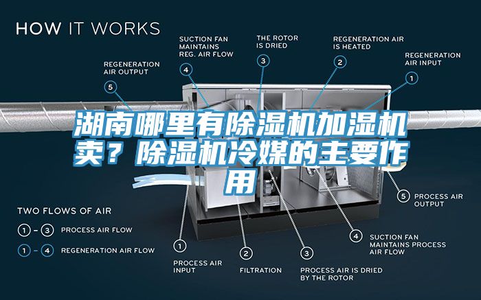 湖南哪里有除湿机加湿机卖？除湿机冷媒的主要作用