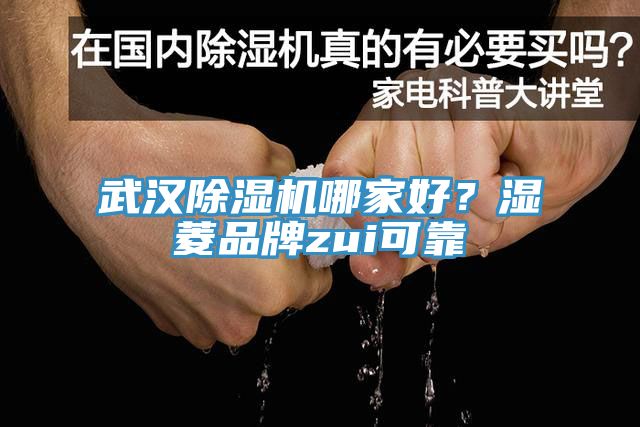 武汉除湿机哪家好？湿菱品牌zui可靠