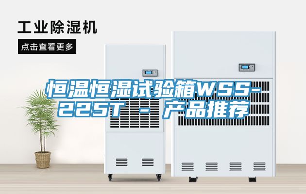 恒温恒湿试验箱WSS-225T - 产品推荐