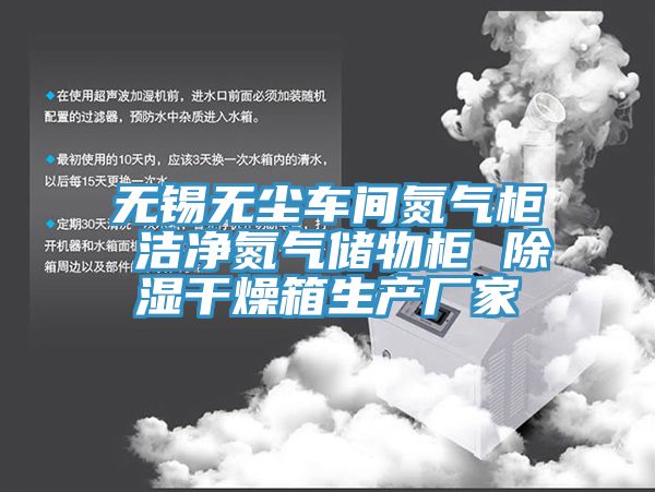 无锡无尘车间氮气柜 洁净氮气储物柜 除湿干燥箱生产厂家