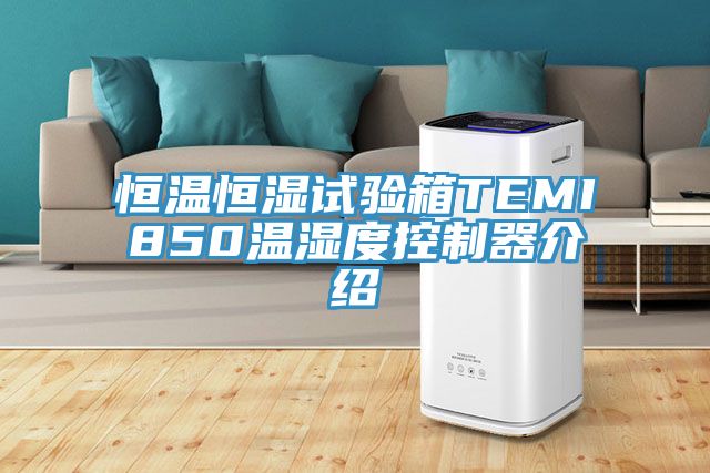 恒温恒湿试验箱TEMI850温湿度控制器介绍