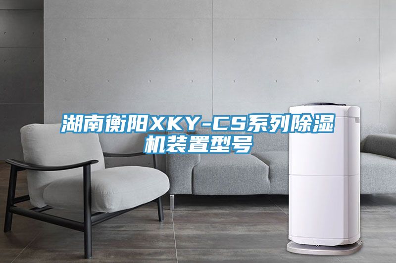 湖南衡阳XKY-CS系列除湿机装置型号