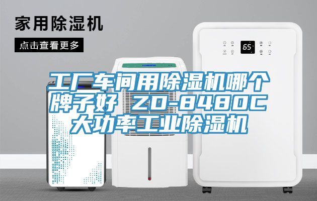 工厂车间用除湿机哪个牌子好 ZD-8480C大功率工业除湿机