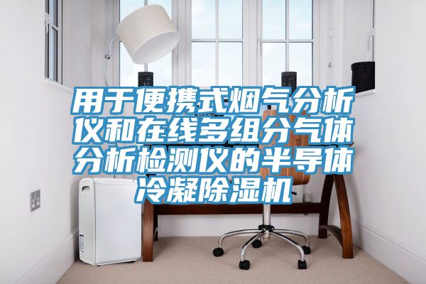 用于便携式烟气分析仪和在线多组分气体分析检测仪的半导体冷凝除湿机