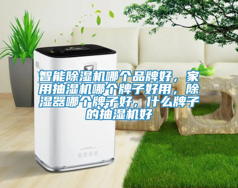 智能除湿机哪个品牌好，家用抽湿机哪个牌子好用，除湿器哪个牌子好，什么牌子的抽湿机好