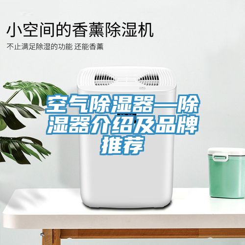 空气除湿器—除湿器介绍及品牌推荐