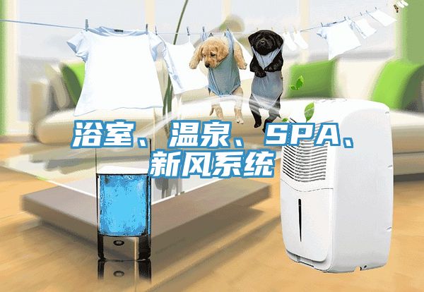 浴室、温泉、SPA、新风系统