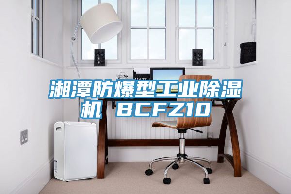 湘潭防爆型工业除湿机 BCFZ10