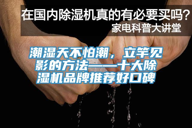 潮湿天不怕潮，立竿见影的方法——十大除湿机品牌推荐好口碑