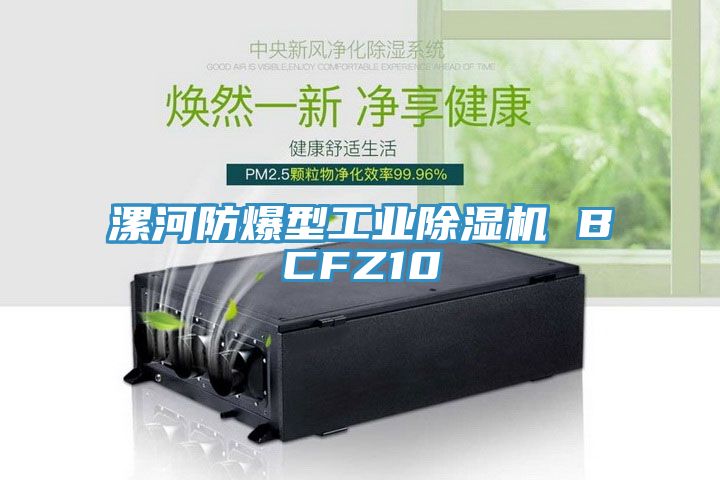 漯河防爆型工业除湿机 BCFZ10